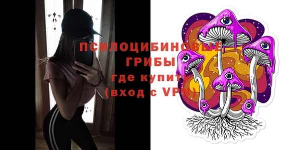 spice Белокуриха