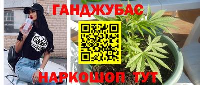 гашик Можга