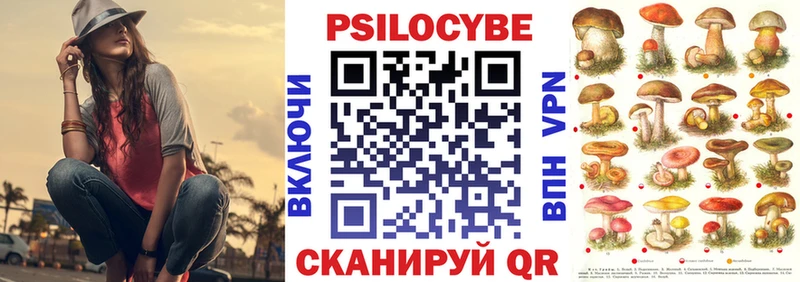 Псилоцибиновые грибы мицелий  Вятские Поляны 