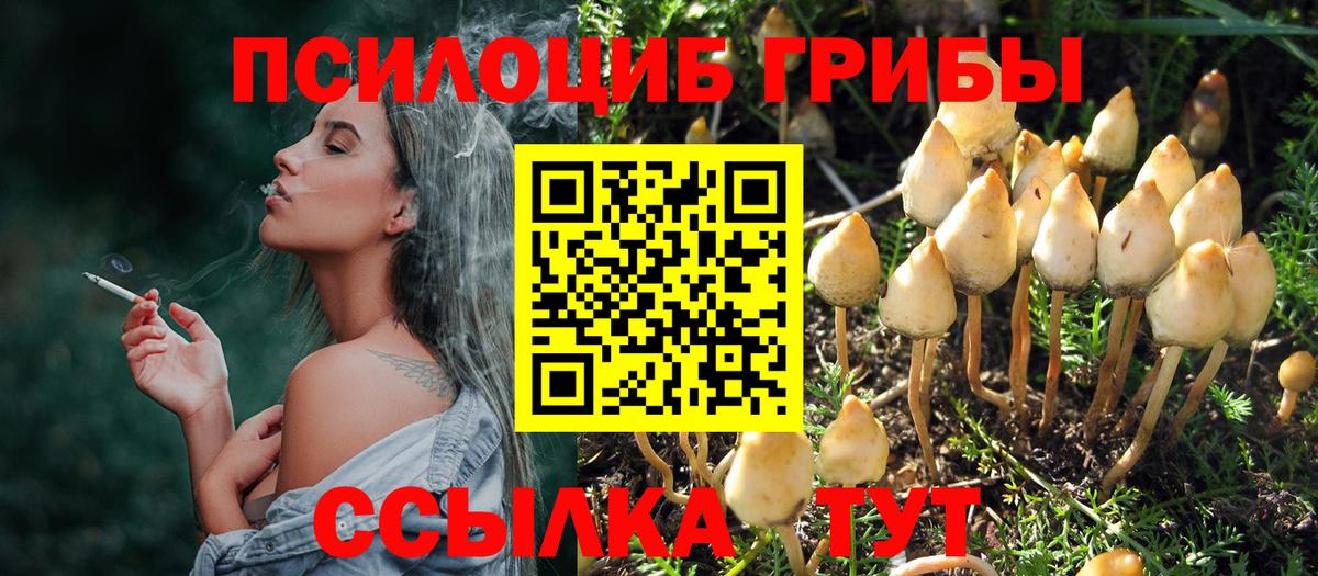 Псилоцибиновые грибы мухоморы  Вход с VPN  Вятские Поляны 